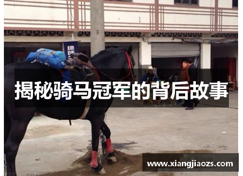 揭秘骑马冠军的背后故事