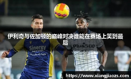 emc易倍